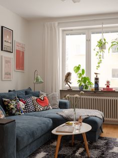 a living room filled with furniture next to a window covered in plants and pictures on the wall