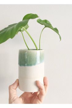 a hand holding a white and green vase with a plant in it