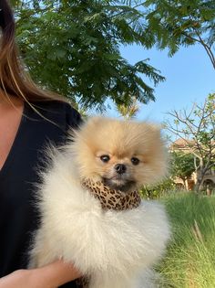 a woman is holding a small dog in her arms and wearing a leopard print scarf