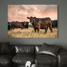 a group of cows standing on top of a grass covered field under a cloudy sky