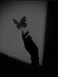 a person holding a butterfly in their hand with the light shining on them and casting a shadow