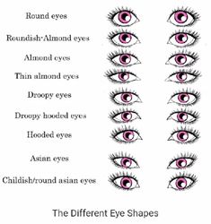 Eye Color Chart, Almond Shaped Eyes, Almond Eyes, Eye Shapes