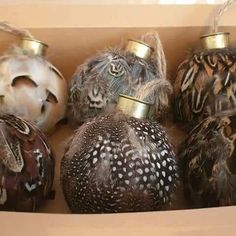 a box filled with lots of different types of birds