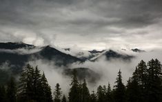 the mountains are covered in thick clouds and pine trees on a gloomy day with low hanging clouds