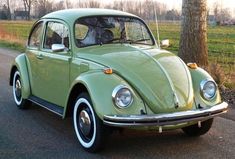 an old green volkswagen beetle parked on the side of the road in front of a tree