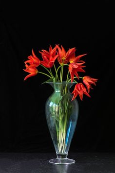 red flowers are in a clear vase on a black tableclothed surface, against a dark background