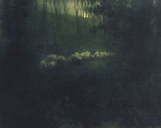 a painting of sheep grazing in the dark forest at night with light shining on them