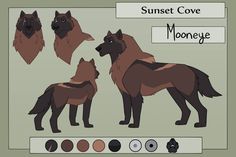 an image of three dogs that are in different stages of their life cycle, with the text sunset cove mooneye above them