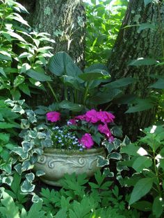 a planter filled with purple flowers sitting in the middle of green plants and trees