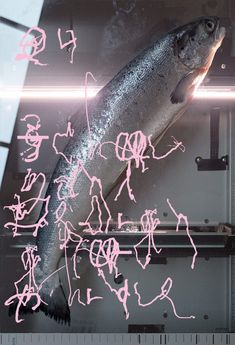 a large fish with writing on it in front of a measuring tape and some other items