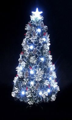 Enjoy the Holiday season amidst your family, friends and loved ones with this stunning Fiber Optic Christmas Tree that will enhance any seasonal decor with warmth and charm. Amaze your guests as the fiber optics create an awesome shimmering effect. It features green frosted needles, adorned with pine cones and berries, has an X-shaped metal base for support, and comes with a lovely bright star atop the tree. This artificial Christmas tree is for Indoor use only. Includes plug-in adapter (12V, 3. Large Pine Cones, White Christmas Tree Decorations, 6ft Christmas Tree, Flocked Christmas Tree, Fiber Optic Christmas Tree, Christmas Topper, Gift Drawing, Black Christmas Trees, Star Tree Topper