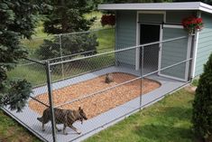 two dogs in a fenced off area next to a dog house with flowers hanging from the roof