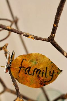 a leaf with the word family written on it is attached to a branch that has scissors stuck in it