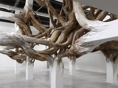 an art installation made out of driftwood in a white room with columns and pillars