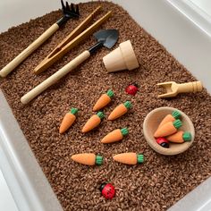 there are carrots and other toys in the tray on top of some brown rice