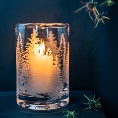 a lit candle sitting inside of a glass vase filled with water and pine trees in the background