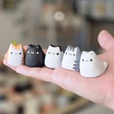 five little cats are sitting on the palm of someone's hand