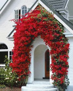 a white house with red flowers growing on it's side and the front door