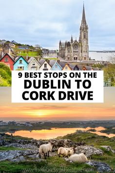 the best stops on the dublin to cork drive