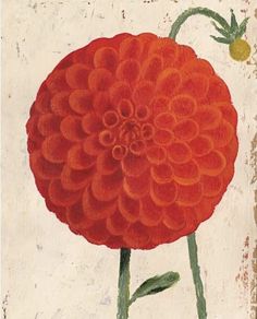 a painting of a red flower on a white background