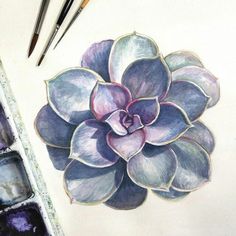 a drawing of a succulent flower with watercolor pencils next to it