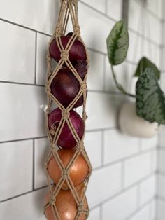 some onions are hanging from a rope on the wall