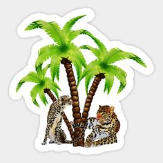 Leopard and Cheetah Animal, Tropical Palm Tree -- Choose from our vast selection of stickers to match with your favorite design to make the perfect customized sticker/decal. Perfect to put on water bottles, laptops, hard hats, and car windows. Everything from favorite TV show stickers to funny stickers. For men, women, boys, and girls. Palm Tree Sticker, Tree Sticker, Cheetah Animal, Tropical Palm, Cactus Plants, Hard Hats, Car Windows, Palm Tree, Funny Stickers