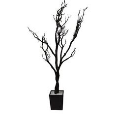 a tree with no leaves in a black pot on a white background, it's dark and spooky