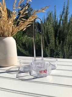 a clear container with some plants in it on top of a table next to a white vase