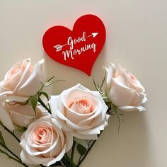 some white roses are in front of a red heart with the words good morning on it