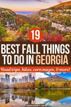 Top photo: Cloudland Canyon State Park in the fall in Georgia, bottom left photo: Piedmont Park in Atlanta during the fall, bottom right photo: Yonah Mountain in the fall in Georgia Things To Do In Georgia, Usa Travel Map, Best Pumpkin Patches, Apple Orchards, State Of Georgia, Boston Travel, Fall Festivals, Eastern Europe Travel, Los Angeles Travel