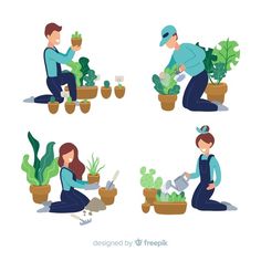 people working in pots with plants