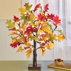 a small tree with lights in it on top of a table