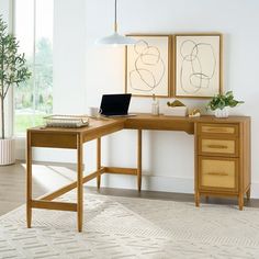 a wooden desk with a laptop on top of it next to a potted plant