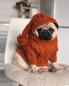 a pug dog wearing an orange sweater sitting on a chair