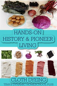 hands - on history and pioneers living cloth dyeing by tana's dynamic homeschool plus