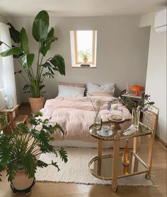 a bed sitting in a bedroom next to a table with plants on top of it