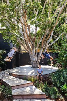 two boys are playing in the backyard under a tree