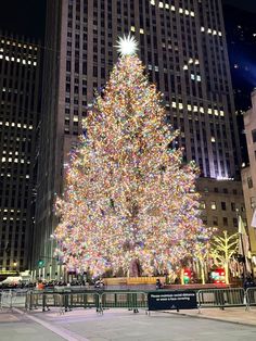 New York Noel, Winter Board, Christmas Nyc, New York City Christmas, Christmas Destinations, Christmas Dreaming, Nyc Christmas, Xmas 2024, Christmas Time Is Here