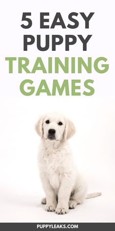 a puppy sitting on the ground with text overlay reading 5 easy puppy training games