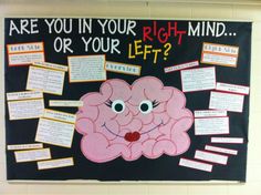 a bulletin board with writing on it that says are you in your right mind or your left?