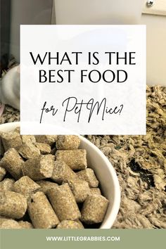 what is the best food for pet munchies? and how to use it