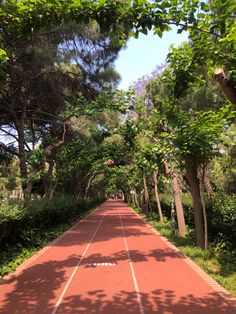 an empty road surrounded by trees and bushes