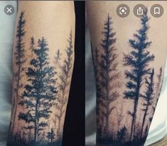 two different views of trees on the arm