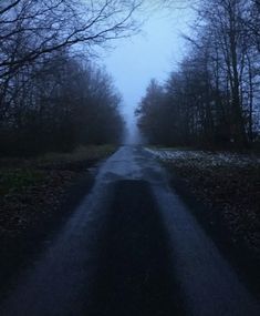 an empty road in the middle of some trees with no leaves on it at night