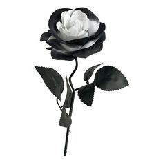 NSESSHome Clearance Fake Roses Artificial Silk Flowers Faux Rose Flower Long Stems Bouquet for Arrangement Wedding Centerpiece Party Home Kitchen Decor, Black Rose Gothic Dark Artificial Flower White Inner Ring Red Halloween Decoration Artificial Flower Silk Flower Artificial Flower Features: Colour: White Material: 100%Polyester Product size: 51*10*10cm/20.08*3.94*3.94in Package size: 50*8*5cm/19.69*3.15*1.97in Net weight: 18g/0.04lb Gross weight: 175g/0.39lb Product Description: MaterialsThe f Gothic Wedding Bouquet, Long Stem Bouquet, Black Rose Bouquet, Hotel Decorations, Flowers With Stems, Fake Flowers Wedding, Red Halloween, Black And White Roses, Long Stem Flowers