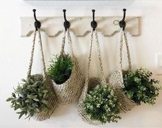 three hanging baskets filled with plants on a wall