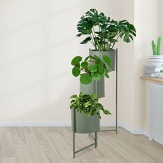 three planters with plants in them on a wooden floor