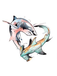 Shark Tattoo Colorful, Marine Tattoos, Tier Tattoo, Tattoo Watercolor, Shark Drawing, Aquatic Creatures, Shark Tattoo, Shark Art