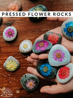 several rocks with flowers painted on them and the words, how to make pressed flower rocks